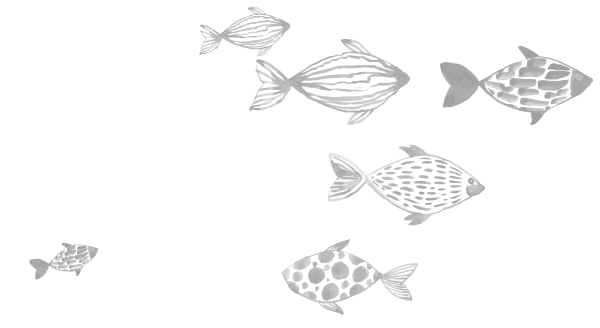 SalonFishPic-6GreyFishies-1